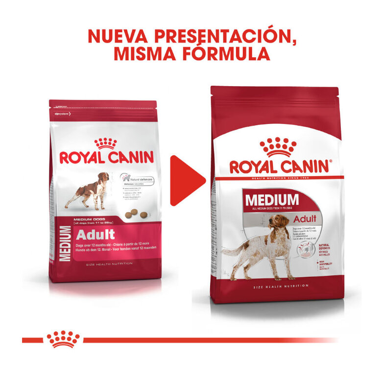 Royal Canin Medium Adult ração para cães, , large image number null